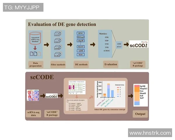深圳排球队团队协作表现的数据分析与提升策略探讨