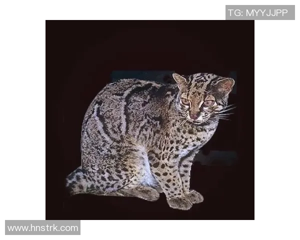 灰熊的栖息地与生态习性研究：保护与人类活动的平衡探索