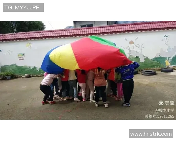 上海飞盘队心理素质分析与表现研究探讨